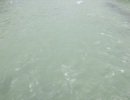 DSCF0217