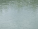 DSCF0221