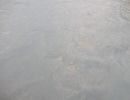 DSCF0561