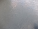 DSCF0562