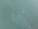 DSCF3416