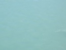 DSCF3446