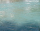 DSCF3513