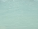 DSCF3514