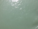 DSCF3526