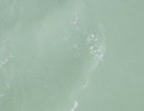DSCF3527