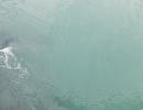 DSCF4094