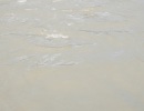 DSCF5813