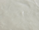 DSCF6081