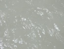 DSCF6354
