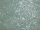 DSCF6645