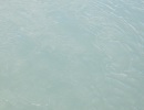 DSCF9439