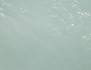 DSCF9441