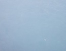 DSCF9574