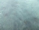 IMG_7721
