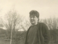 hansi2