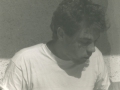 hansi3